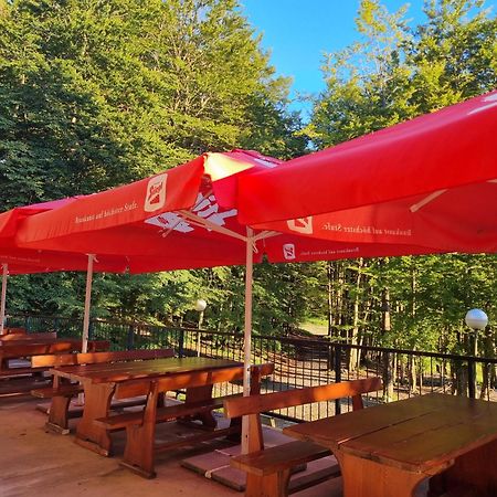 Great Mountain B&B Platak 외부 사진