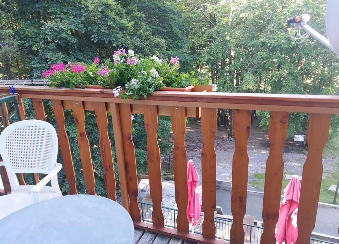 Great Mountain B&B Platak 외부 사진