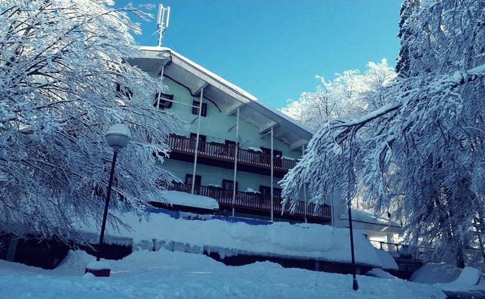 Great Mountain B&B Platak 외부 사진